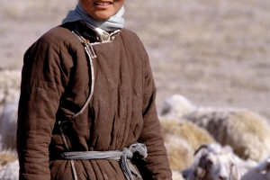 Mongolie-bergere